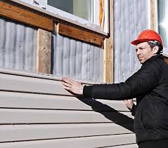 Best Siding Painting and Refinishing  in Brookdale, SC